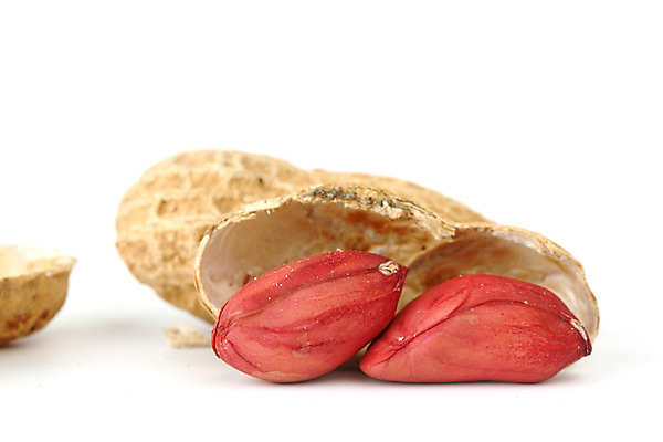 포토 JPG 해외이미지 실내 사람없음 두개 흰배경 땅콩 땅콩껍질 해외202004 해외202105 해외포토 백그라운드 2 내부 견과류 껍질 흰색 파일형식