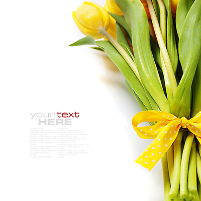 포토 JPG 해외이미지 꽃다발 실내 타이포그라피 사람없음 하이앵글 튤립 흰배경 카피스페이스 해외202004 해외포토 문자 꽃 뷰포인트 백그라운드 내부 공백 흰색 파일형식