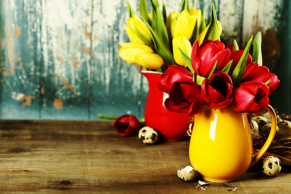 포토 JPG 해외이미지 꽃다발 실내 사람없음 꽃병 튤립 원예 파란배경 메추리알 해외202004 해외포토 꽃 백그라운드 취미 내부 파란색 알 파일형식