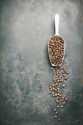 포토 JPG 해외이미지 회색배경 실내 사람없음 하이앵글 원두 스쿱 해외202004 해외포토 커피 뷰포인트 백그라운드 내부 회색 파일형식