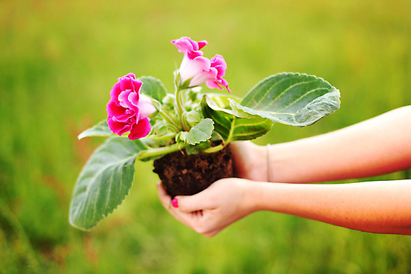 포토 JPG 해외이미지 식물 구름 1 계절 꽃 지구 백그라운드 잎 밭 농업 자연 하늘 날씨 풍경 초원 사람없음 목재 초록색 여름 파란색 농장 환경 정원 봄 자유 나뭇가지 전원 시골 신선 고독 큼 땅 언덕 싱글 장면 내추럴 옛날 혼자 수평선 해외202004 해외202105 해외포토 자연요소 나무 감정 산업 컬러 컨셉 재료 전기에너지 크기 생태계 파일형식