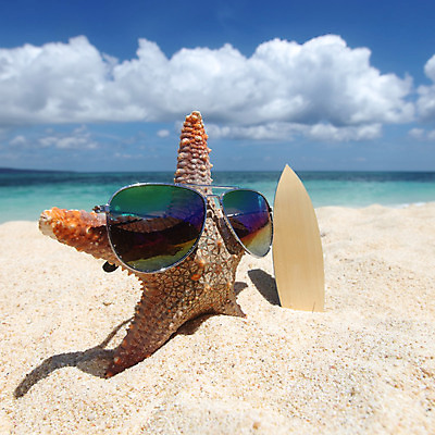 포토 JPG 해외이미지 구름 별 모래 바다 백그라운드 컨셉 자연 하늘 휴가 불가사리 풍경 사람없음 물 선글라스 전원 잡기 서핑보드 서핑 휴양지 서퍼 이국적 파라다이스 해외202004 해외202105 해외포토 자연요소 안경 모션 극피동물 운동선수 장소 수상스포츠 보드_스포츠 전기에너지 생태계 파일형식