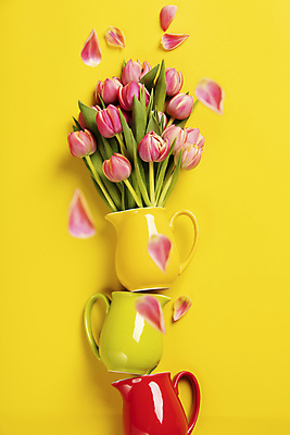 포토 JPG 해외이미지 꽃잎 꽃다발 실내 사람없음 하이앵글 꽃병 튤립 떨어짐 노란배경 플랫레이 해외202004 해외포토 꽃 뷰포인트 백그라운드 컨셉 내부 노란색 플랫 파일형식