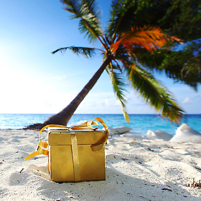 포토 JPG 해외이미지 나무 식물 구름 리본 모래 파도 바다 섬 여행 백그라운드 잎 크리스마스 자연 하늘 휴가 휴식 손바닥 선물 풍경 사람없음 야외 초록색 물 여름 파란색 햇빛 태양 맑음 침묵 만 뜨거움 황금 휴양지 코코넛 패키지 파라다이스 해외202004 해외202105 해외포토 자연요소 손 계절 기념일 컬러 컨셉 과일 날씨 소리 장소 생태계 파일형식