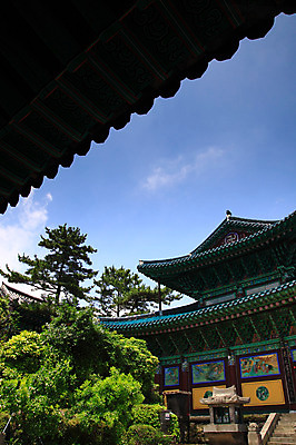 포토 JPG 주간 한국문화 한국전통 전통 건축물 건축 아시아 종교 전통문화 문화 고건축 불교 한국건축 종교건축 자연 종교시설 한국 풍경 사람없음 야외 건물 제주도 동양건축 문화재 사찰 불당 선덕사 종교문화 국내포토 자연요소 동양문화 나라 시설 생태계 파일형식 동양