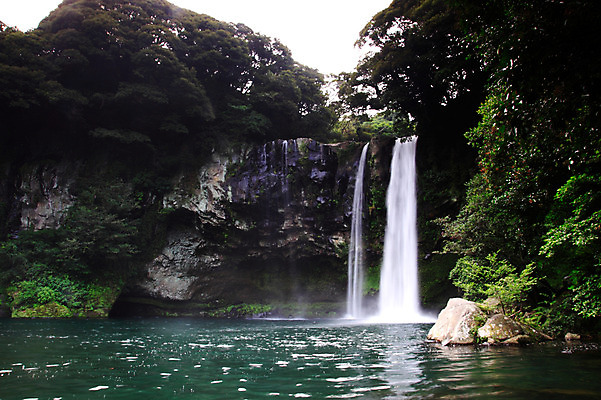 포토 JPG 주간 나무 식물 자연 한국 물줄기 풍경 사람없음 야외 물 관광지 제주도 계곡 폭포 흐름 돌_바위 바위 급류 숲 천지연폭포 국내포토 자연요소 아시아 여행 컨셉 생태계 파일형식
