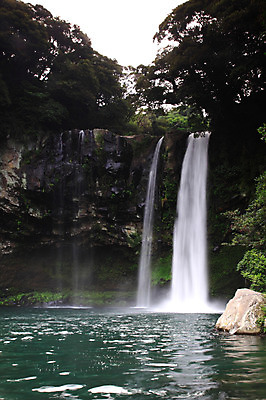 포토 JPG 주간 나무 식물 자연 한국 물줄기 풍경 사람없음 야외 물 관광지 제주도 계곡 폭포 흐름 돌_바위 바위 급류 숲 천지연폭포 국내포토 자연요소 아시아 여행 컨셉 생태계 파일형식