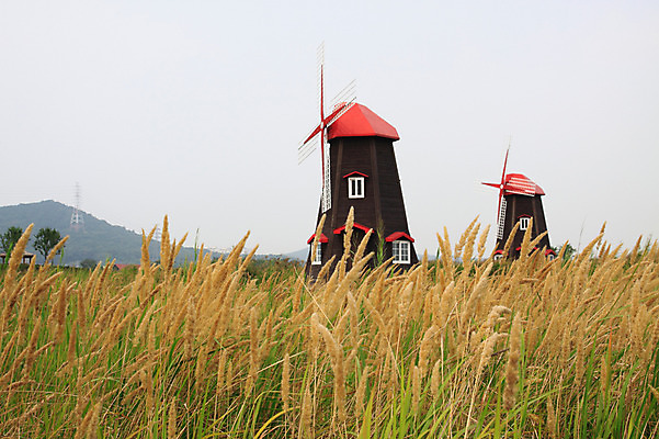 포토 JPG 주간 식물 건축물 공원 자연 산 한국 풍경 초원 사람없음 야외 풍차 발전기 발전소 에너지 풀 그린에너지 전기에너지 인천 생태공원 소래포구 국내포토 자연요소 공공시설 건축 아시아 항구 생태계 파일형식