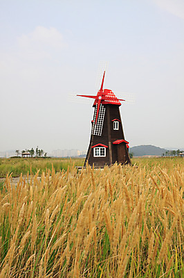 포토 JPG 주간 식물 건축물 공원 자연 산 아파트 한국 풍경 빌딩 초원 사람없음 야외 건물 풍차 발전기 발전소 에너지 풀 그린에너지 전기에너지 원두막 인천 생태공원 소래포구 국내포토 자연요소 공공시설 건축 아시아 주택 항구 생태계 파일형식