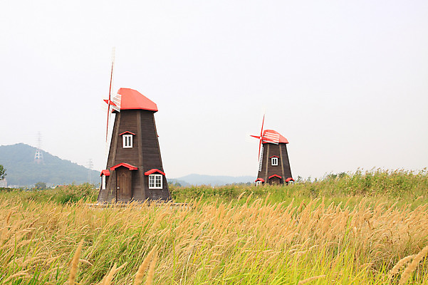 포토 JPG 주간 식물 건축물 공원 자연 산 한국 풍경 초원 사람없음 야외 풍차 발전기 발전소 에너지 풀 그린에너지 전기에너지 인천 생태공원 소래포구 국내포토 자연요소 공공시설 건축 아시아 항구 생태계 파일형식