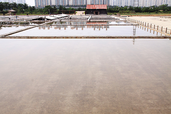 포토 JPG 주간 건축물 바다 밭 자연 아파트 한국 물그림자 어업 풍경 사람없음 야외 건물 농경지 반사 소금 어촌 양식장 인천 소래포구 염전 국내포토 자연요소 건축 산업 아시아 농업 주택 그림자 농장 항구 시골 시설 생태계 파일형식