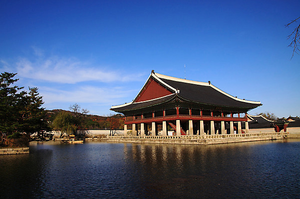포토 JPG 주간 나무 식물 한국문화 한국전통 전통 건축물 건축 아시아 전통문화 문화 고건축 유적 한국건축 유적지 자연 서울 한국 풍경 사람없음 야외 건물 동양건축 궁전 문화재 연못 국보 조선시대 정자 경복궁 경회루 국내포토 자연요소 동양문화 나라 역사 생태계 파일형식 동양