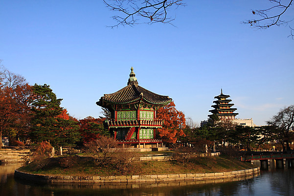 포토 JPG 주간 나무 식물 한국문화 한국전통 전통 건축물 계절 건축 아시아 전통문화 문화 단풍 고건축 유적 한국건축 유적지 자연 서울 한국 풍경 야외 건물 관광지 여행객 가을풍경 동양건축 궁전 문화재 가을 연못 조선시대 정자 경복궁 국립민속박물관 향원정 향원지 가교 국내포토 자연요소 동양문화 나라 여행 잎 사람 역사 생태계 박물관 누각 파일형식 동양 가을_계절