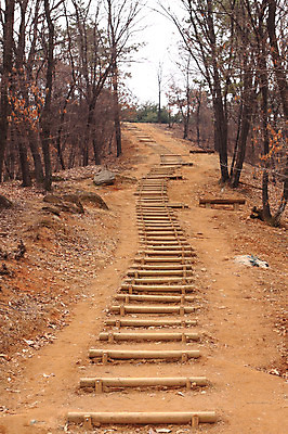 포토 JPG 주간 나무 식물 도로 길 벤치 의자 자연 한국 풍경 사람없음 야외 계단 산책로 원근감 숲속 숲 숲길 등산로 오르막 나무계단 서오릉 국내포토 자연요소 아시아 뷰포인트 가구 교통시설 등산 생태계 왕릉 파일형식 고양