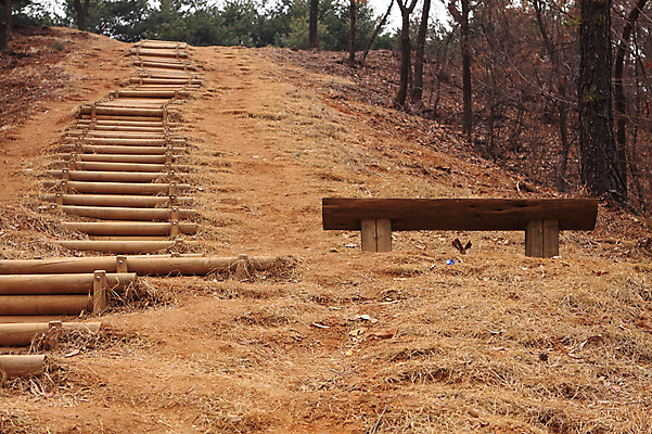 포토 JPG 주간 나무 식물 도로 길 벤치 의자 자연 한국 풍경 사람없음 야외 계단 산책로 원근감 숲속 숲 숲길 등산로 오르막 나무계단 서오릉 국내포토 자연요소 아시아 뷰포인트 가구 교통시설 등산 생태계 왕릉 파일형식 고양