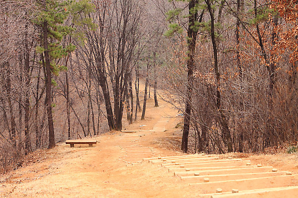 포토 JPG 주간 나무 식물 도로 길 벤치 의자 자연 한국 풍경 사람없음 야외 계단 산책로 원근감 숲속 숲 숲길 등산로 내리막 서오릉 국내포토 자연요소 아시아 뷰포인트 가구 교통시설 등산 생태계 왕릉 파일형식 고양