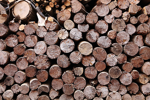 포토 JPG 주간 나무 백그라운드 자연 한국 풍경 사람없음 야외 목재 쌓기 장작 통나무 건축자재 자재 국내포토 자연요소 식물 아시아 재료 모션 생태계 파일형식