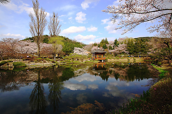 포토 JPG 주간 나무 식물 구름 한국문화 한국전통 전통 건축물 건축 아시아 전통문화 문화 호수 고건축 한국건축 자연 하늘 한국 물그림자 사람 풍경 여러명 야외 관광지 여행객 동양건축 경주 연못 경상북도 경상도 정자 보문단지 보문정 국내포토 자연요소 동양문화 나라 여행 다수 그림자 경주_경상북도 생태계 파일형식 동양