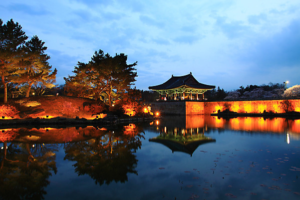 포토 JPG 나무 식물 한국문화 한국전통 전통 건축물 건축 아시아 전통문화 문화 호수 고건축 야경 유적 한국건축 유적지 자연 조명 한국 물그림자 사람없음 야외 관광지 빛 여행객 동양건축 어둠 문화재 경주 연못 신라 저녁 경상북도 경상도 정자 안압지 국내포토 동양문화 나라 여행 그림자 사람 경주_경상북도 한국사 야간 생태계 파일형식 동양 풍경_경치