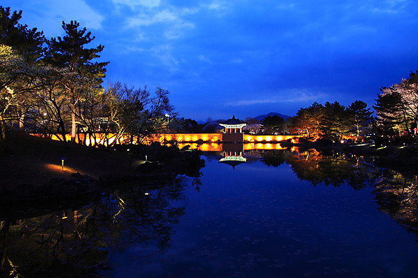 포토 JPG 나무 식물 한국문화 한국전통 전통 건축물 건축 아시아 전통문화 문화 호수 고건축 야경 유적 한국건축 유적지 자연 조명 한국 물그림자 사람없음 야외 관광지 빛 동양건축 어둠 문화재 경주 연못 신라 저녁 경상북도 경상도 정자 안압지 국내포토 동양문화 나라 여행 그림자 경주_경상북도 한국사 야간 생태계 파일형식 동양 풍경_경치