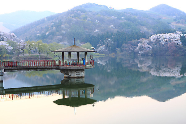 포토 JPG 주간 나무 식물 건축물 호수 자연 산 한국 물그림자 풍경 사람없음 야외 반사 저수지 숲 충청남도 충청도 서산 용비저수지 용비지 가교 국내포토 자연요소 건축 아시아 그림자 생태계 파일형식