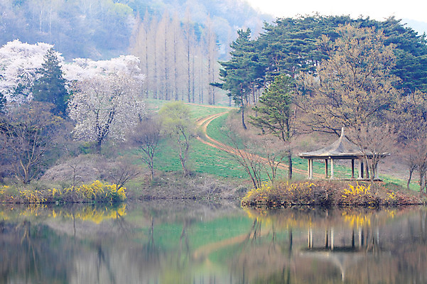 포토 JPG 주간 나무 식물 건축물 호수 자연 한국 물그림자 풍경 사람없음 야외 반사 저수지 숲 충청남도 정자 충청도 서산 용비저수지 용비지 국내포토 자연요소 건축 아시아 그림자 생태계 파일형식