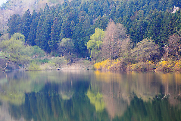 포토 JPG 주간 나무 식물 호수 자연 한국 물그림자 풍경 사람없음 야외 반사 저수지 숲 충청남도 충청도 서산 용비저수지 용비지 국내포토 자연요소 아시아 그림자 생태계 파일형식