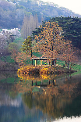 포토 JPG 주간 나무 식물 건축물 호수 자연 한국 물그림자 사람 풍경 여러명 야외 반사 저수지 숲 충청남도 정자 충청도 서산 용비저수지 용비지 국내포토 자연요소 건축 아시아 다수 그림자 생태계 파일형식