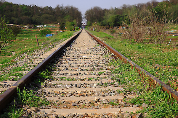 포토 JPG 주간 나무 식물 도로 길 교통 교통시설 자연 한국 풍경 사람없음 야외 아웃포커스 걷기 기찻길 원근감 보행자 도보 철도의날 국내포토 자연요소 아시아 뷰포인트 모션 촬영기법 시설 생태계 파일형식 법정기념일