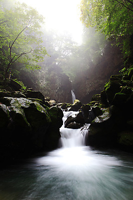 포토 JPG 주간 나무 식물 자연 산 한국 풍경 사람없음 야외 물 골짜기 계곡 폭포 흐름 안개 돌_바위 바위 급류 숲속 숲 산속 국내포토 자연요소 아시아 컨셉 날씨 생태계 파일형식