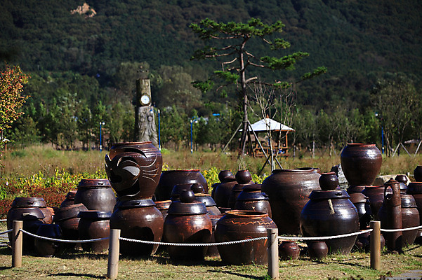 포토 JPG 주간 나무 식물 자연 산 한국 풍경 사람없음 야외 아웃포커스 울타리 시골 항아리 숲 국내포토 자연요소 아시아 촬영기법 담장 도자기 생태계 파일형식