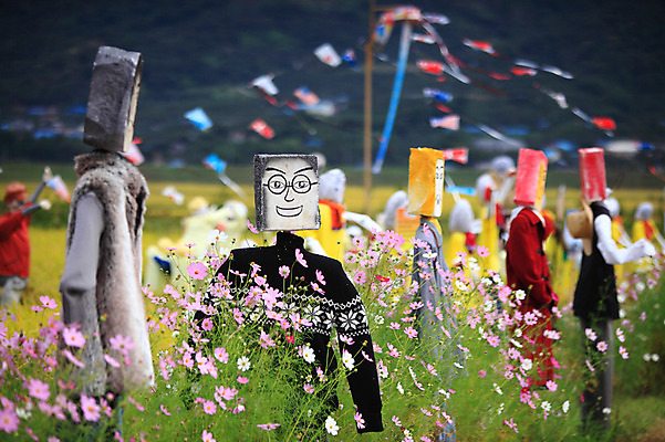 포토 JPG 주간 식물 사계절 계절 꽃 밭 자연 한국 논 풍경 초원 사람없음 야외 아웃포커스 농경지 가을풍경 가을 농촌 시골 코스모스 허수아비 국내포토 자연요소 아시아 농업 촬영기법 농장 생태계 파일형식 가을_계절