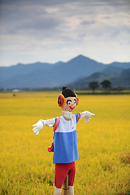 포토 JPG 주간 구름 사계절 계절 자연 하늘 산 한국 논 풍경 초원 사람없음 야외 아웃포커스 농경지 가을풍경 벼 가을 농촌 시골 허수아비 국내포토 자연요소 아시아 농업 곡류 촬영기법 농장 생태계 파일형식 가을_계절