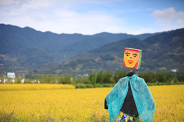 포토 JPG 주간 구름 사계절 계절 자연 하늘 산 한국 논 풍경 초원 사람없음 야외 아웃포커스 농경지 가을풍경 벼 가을 농촌 시골 허수아비 국내포토 자연요소 아시아 농업 곡류 촬영기법 농장 생태계 파일형식 가을_계절