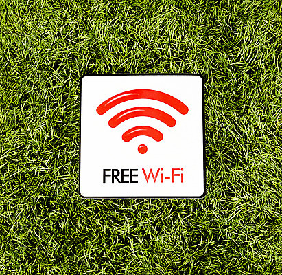 포토 JPG 인터넷 표시 정보기술 잔디 사람없음 정보 풀 심볼 와이파이 무선인터넷 국내포토 식물 기술 파일형식