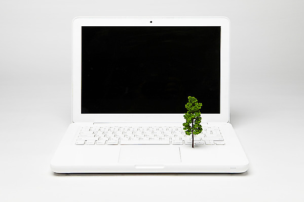 포토 JPG 나무 정보기술 한그루 사람없음 노트북 모형 정보기기 국내포토 식물 1 기술 전자제품 기계 파일형식