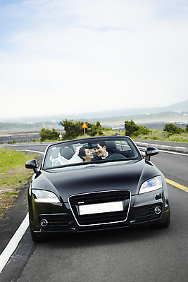 포토 JPG 주간 구름 커플 응시 여자 남자 도로 길 신부 육상교통 교통수단 바다 여행 웨딩드레스 신랑 결혼 자동차 하늘 한국 미소 웃음 사람 동양인 정장 턱시도 상반신 20대 성인 해변 야외 두명 관광지 제주도 마주보기 드라이브 운전 한국인 신혼여행 오픈카 웨딩카 주행 청년만 성인만 국내포토 자연요소 시선 드레스 옷 아시아 교통 관계 교통시설 모션 승용차 표정 인종 이벤트 청년 파일형식