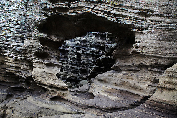 포토 JPG 주간 여행 자연 한국 풍경 사람없음 야외 관광지 제주도 즐거움 상쾌 국내포토 자연요소 감정 아시아 생태계 파일형식