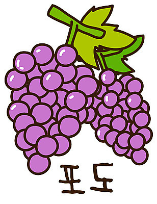 EPS 식물 아이콘 열매 줄기 컬러 스티커 과일 포도 사람없음 농작물 보라색 두개 두송이 포도송이 2D아이콘 2 농업 파일형식 벡터