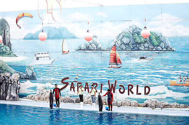 포토 JPG 주간 동물 2011년태국 남자 두마리 포유류 악수 수영장 동물원 사람 여러명 성인 야외 물 풀장 인사 묘기 사파리 돌고래 쇼 돌고래쇼 사육사 남자만 성인남자만 성인만 국내포토 자연요소 해외기획촬영 다수 2 손짓 수중동물 예절 파일형식