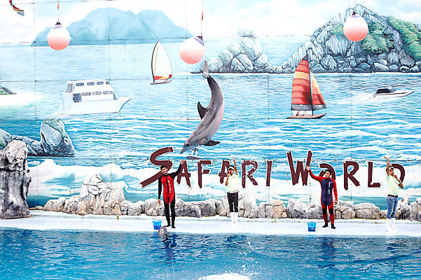 포토 JPG 주간 동물 한마리 2011년태국 남자 포유류 수영장 동물원 사람 여러명 성인 야외 물 풀장 점프 묘기 사파리 돌고래 쇼 돌고래쇼 사육사 남자만 성인남자만 성인만 국내포토 자연요소 해외기획촬영 1 다수 모션 수중동물 파일형식