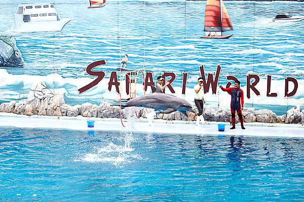 포토 JPG 주간 동물 한마리 2011년태국 남자 포유류 수영장 동물원 사람 성인 야외 세명 물 풀장 점프 묘기 사파리 돌고래 쇼 돌고래쇼 사육사 남자만 성인남자만 성인만 국내포토 자연요소 해외기획촬영 1 모션 수중동물 파일형식