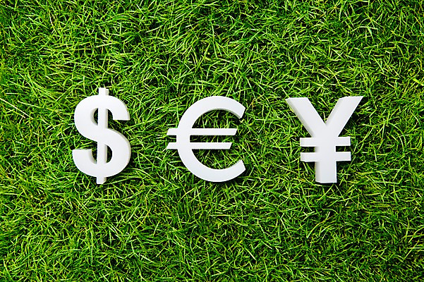 포토 JPG 스튜디오촬영 기호 돈 실내 잔디 사람없음 금융 경제 달러 유로 화폐기호 엔 국내포토 식물 문자 내부 재산 화폐 파일형식