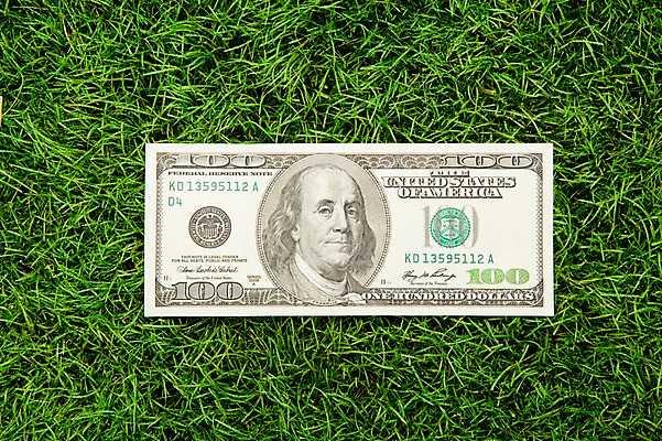 포토 JPG 스튜디오촬영 지폐 돈 실내 잔디 사람없음 금융 경제 달러 국내포토 식물 내부 재산 파일형식