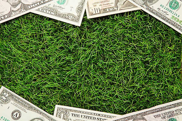 포토 JPG 스튜디오촬영 지폐 돈 실내 잔디 사람없음 금융 경제 달러 국내포토 식물 내부 재산 파일형식