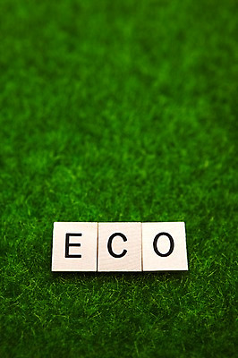 포토 JPG 스튜디오촬영 문자 알파벳 영어 컬러 대문자 실내 잔디 사람없음 목재 아웃포커스 초록색 단어 환경 블록 에코 친환경 유기농 국내포토 나무 식물 웰빙 재료 촬영기법 내부 파일형식