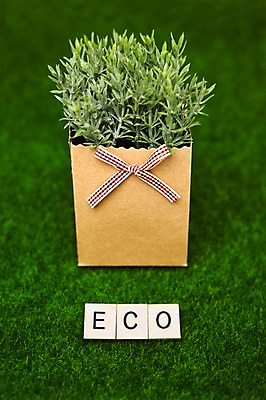 포토 JPG 스튜디오촬영 식물 문자 알파벳 영어 리본 화분 컬러 대문자 실내 잔디 사람없음 목재 아웃포커스 초록색 단어 환경 블록 허브 에코 친환경 유기농 국내포토 나무 웰빙 재료 촬영기법 내부 파일형식