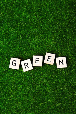 포토 JPG 스튜디오촬영 문자 알파벳 영어 컬러 대문자 실내 잔디 사람없음 목재 초록색 단어 하이앵글 블록 친환경 국내포토 나무 식물 뷰포인트 재료 내부 환경 파일형식