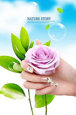 PSD 식물 구름 편집이미지 손 꽃 분홍색 잎 한송이 하늘 신체부위 장미 이미지편집 자연요소 1 컬러 사람 송이 파일형식