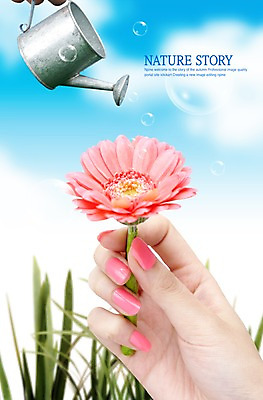 PSD 식물 구름 편집이미지 손 꽃 분홍색 한송이 하늘 신체부위 물뿌리개 물방울 풀 공기방울 소국 이미지편집 자연요소 1 컬러 사람 송이 파일형식